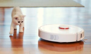 vacuum robot dengan kucing